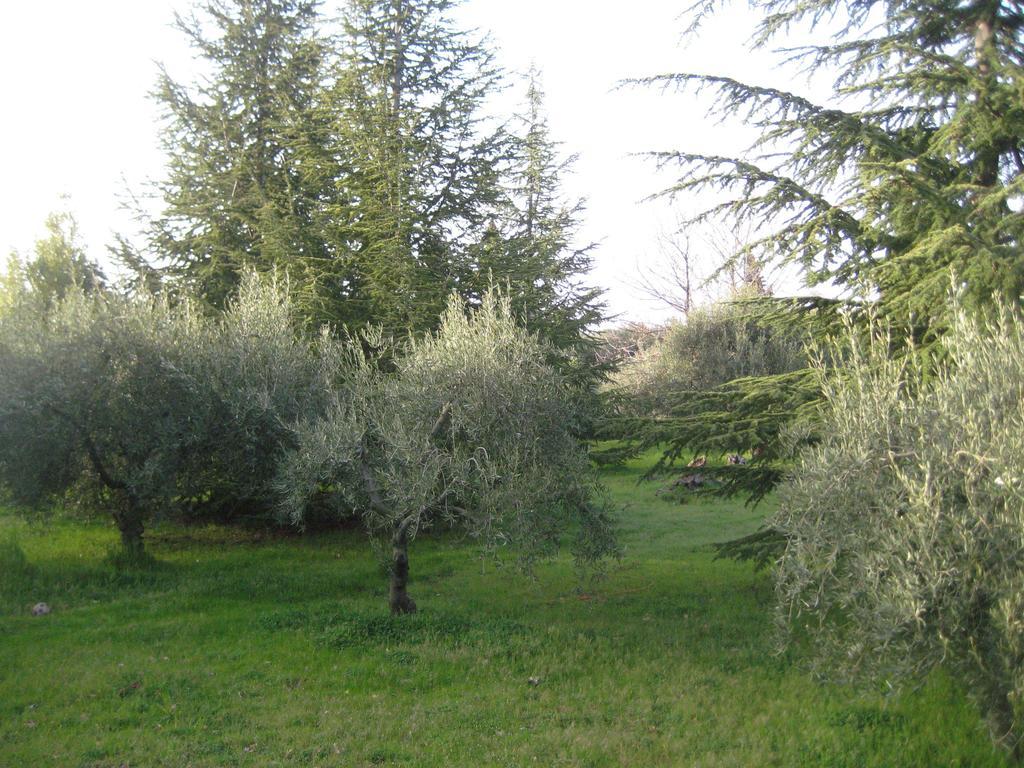 La Casa Del Cavaliere Villa Santa Maria di Licodia Værelse billede