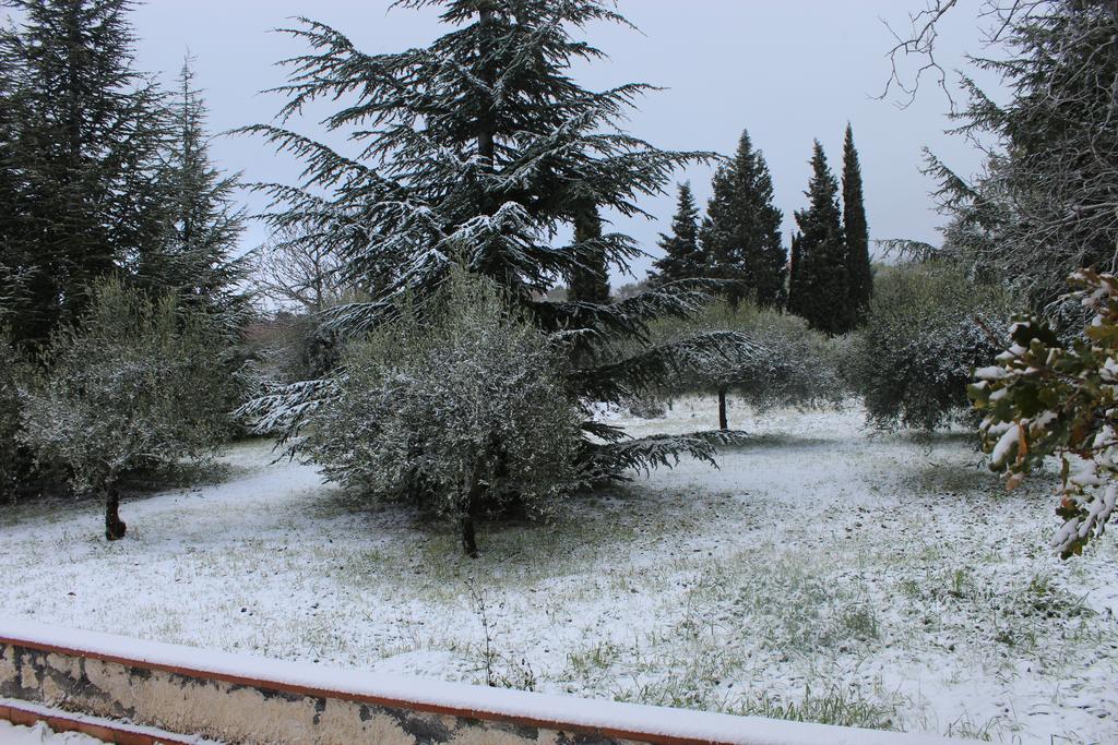 La Casa Del Cavaliere Villa Santa Maria di Licodia Eksteriør billede